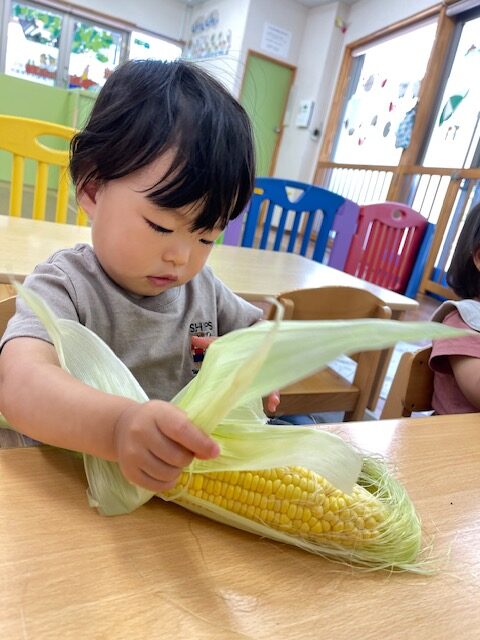 とうもろこしの皮むき